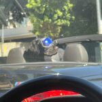 Josh Beauchamp Instagram - A week in LA