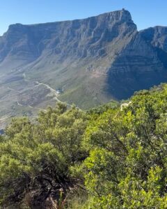 Josh Duhamel Instagram - Just hiked Lions Head mountain in beautiful Cape Town, South Africa. This city is INCREDIBLE. Oh and HAPPY NEW YEAR!!!