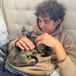 Joshua Bassett Instagram - comfort kittens for tonight. sad songs in a hotel room midnight.