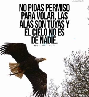 Juan A. Baptista Instagram - Reflexión⏱🦋Gratitud ❤️🍀