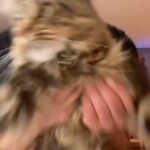 Juan A. Baptista Instagram - Sabroso para bailar🐈🎱♦️🍀 #salsayo
