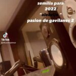 Juan A. Baptista Instagram - Alebrije 🎵