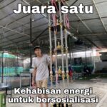 Juan Bio One Instagram – kanjeng moon week’s sum