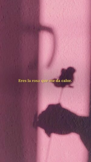 Juan Luis Guerra Instagram - Una cartita de amor para un día como hoy. Etiqueta a tu ❤️ en los comentarios.