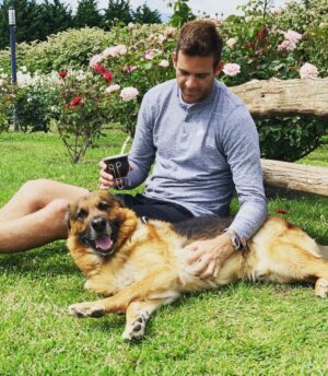 Juan Martin del Potro Instagram - Hoy te me fuiste al cielo, Astor, pero te vas a reencontrar con nuestro amiguito César y se van a divertir juntos como lo hicieron siempre.
Gracias por haber sido mi gran compañero todos estos años! 🐶♥️