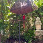 Jules LeBlanc Instagram - Belize and Cozumel