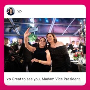 Julia Louis-Dreyfus Instagram - Gary, someone is using my @VP instagram account. I think we’ve been hacked. CALL SOMEONE.