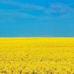 Julia Louis-Dreyfus Instagram - I stand with Ukraine. If you, like me, have been looking to help the people of Ukraine in their brave fight for democracy and peace, click the link in my bio for a list of ways to donate. AND, Putin, go fuck yourself.