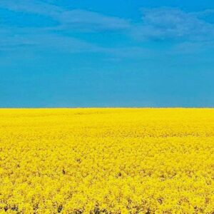 Julia Louis-Dreyfus Instagram - I stand with Ukraine.

If you, like me, have been looking to help the people of Ukraine in their brave fight for democracy and peace, click the link in my bio for a list of ways to donate.

AND, Putin, go fuck yourself.