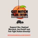 Julia Louis-Dreyfus Instagram - The Peach State will be holding two very competitive Senate runoffs on January 5 that will determine the control of the Senate. Let’s win these seats! 🍑 Go to @VoteSaveAmerica’s Georgia site for voter information, funds to donate to (either the Warnock + Ossoff campaigns or organizers on the ground), and ways to volunteer ➡️ link in bio. #GetMitchOrDieTrying