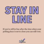 Julia Louis-Dreyfus Instagram - Could not be happier to have voted for @JoeBiden 🇺🇸 And there is still time for you to do so too! So long as you are in line by the time your polling place is set to close, you have the right to place your vote. Stay in line - we need you!! Polling place hours in my Story. For voter support, call 1-833-336-8683!