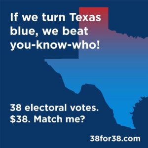Julia Louis-Dreyfus Instagram - Win Texas. Lose Trump. Donate at 38for38.com and please share!
With 38 electoral votes, Texas can change this country for a generation if we #TurnTexasBlue together. Every $1 can register 2 Texans to vote! Join the movement! 
#38for38