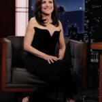 Julia Louis-Dreyfus Instagram - I always love to hang with @jimmykimmellive #YouPeopleMovie on @netflix this Friday! Hair: @matthewmonzon Makeup: @karenkawahara Styling: @kevinmichaelericson Alterations: @s.rothan Jumpsuit: @saloniofficial Jewelry: @ireneneuwirth