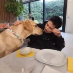 Julien Bam Instagram - Werbung Bin jetzt Babysitter für Dobby. Aber weil ich ihm nicht traue, musste ich Vorkehrungen treffen. Google Nest Cam ist die Antwort. Super einfach zu bedienen, direkt mit Handy koppelbar und ich kann sehen was Dobs macht, wenn ich kurz weg bin. Wer sich für die Cam interessiert checkt jetzt hier: @googlenest