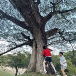 Jumpol Adulkittiporn Instagram - ชม ยัง?