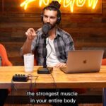 Justin Baldoni Instagram - I believe the difference between physical bravery and emotional bravery is the heart🫀. One of the most important things I always remind my son is that the strongest muscle in his body, is his heart. Because without that, all the physical strength in the world means nothing. The courage of @georgesstpierre goes far beyond his fighting in the octagon… (although he is one of the most badass fighters I have ever met hands down 🙌🏼) his strength comes from his ability to be vulnerable and be a role model to other men. This physically ideal alpha man is courageous talking to us about his past bullies and struggles with depression.. but also his regrets of not being transparent to the public about his mental health. Emotional bravery is one of the scariest things a man can do. I am so grateful to Georges for being a part of our show. You can listen to the whole episode in the Link In my Bio 👈🏼