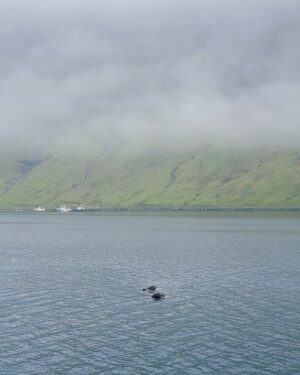 Justin H. Min Instagram - the faroes.