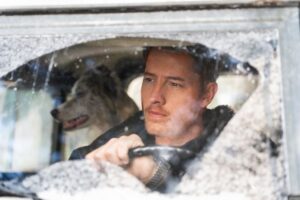 Justin Hartley Instagram - Excited to share with you all that my new film, THE NOEL DIARY, will be coming to Netflix this Thanksgiving Day - November 24th! Directed by Charles Shyer and co-starring @dontgo_jasonwaterfalls - can't wait for you all to see this special film.