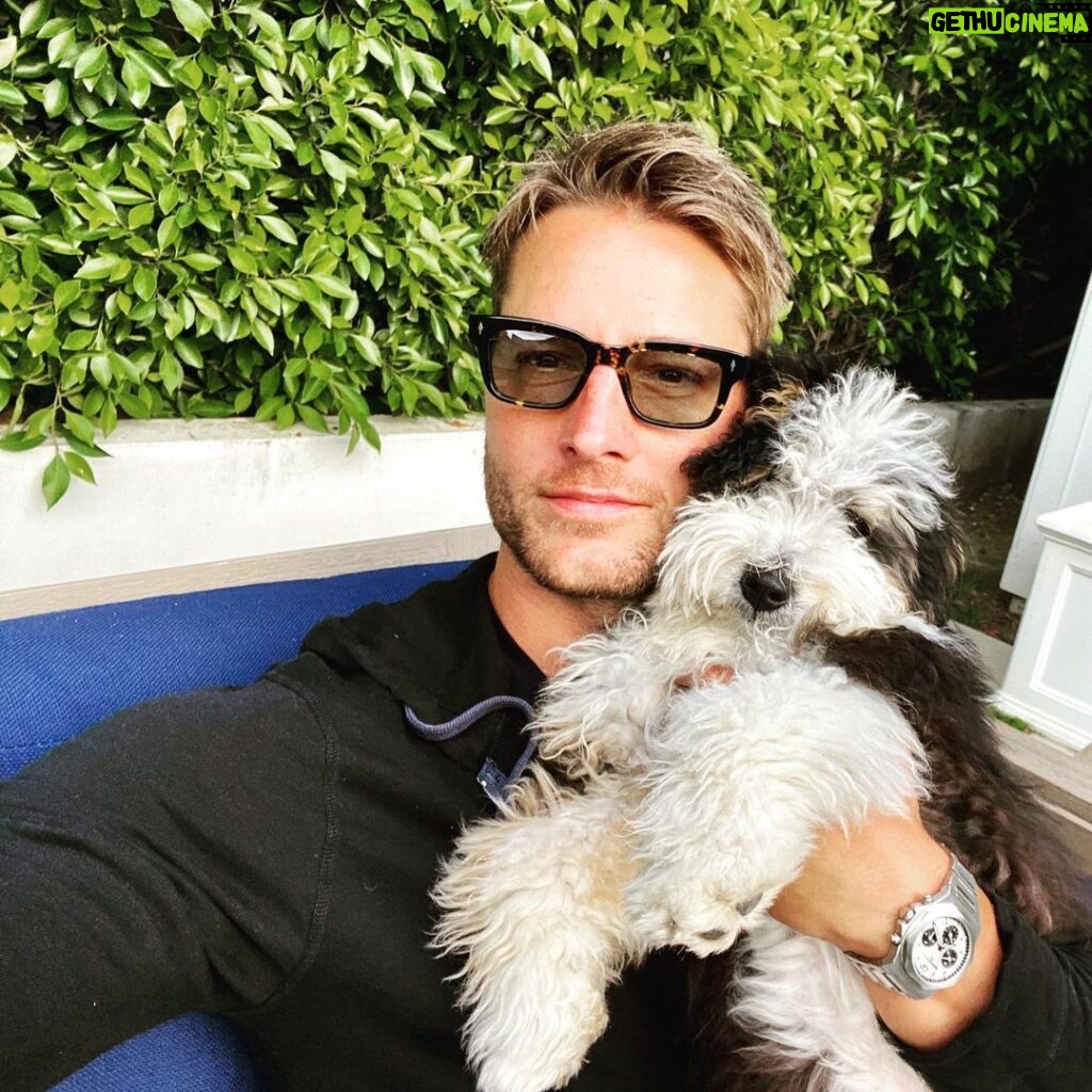 Justin Hartley Instagram - Staying home with this monster.