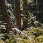 Justin Prentice Instagram – More road trip pics. Miss it already. Nature is pretty neat.

P.S. The butterfly tattoo was a joke

@indianmotorcycle @seanmacd