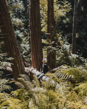 Justin Prentice Instagram - More road trip pics. Miss it already. Nature is pretty neat.

P.S. The butterfly tattoo was a joke

@indianmotorcycle @seanmacd