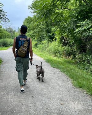 Justin Theroux Instagram - Happy National Dog Day! 🐾 ❤️ #adoptdontshop 
Get a life! Seriously you can just go get one!