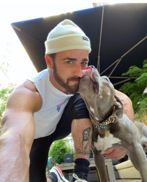 Justin Theroux Instagram - Celebrating Kuma’s Gotcha Day! June 8, 2018, 3 years ago today. 🎂 I know you can’t read Kuma, but thank you for being so open, making me laugh, sleeping in later than me, going everywhere by my side, reminding me to stay in the present, to let things roll off me, to have gratitude and joy for everything, even just waking up. Reminding me to be playful. For showing patience. For not judging anyone, (except skateboards that you judge harshly). For showing kindness first, to literally everyone you meet. For being an exceptional (but not uncommon) Pitbull ambassador. For helping save other Pittbulls like yourself by letting me tell people your story… For being loyal.  For being my gray shadow… And above all, for guarding the bathroom door literally every time i take a piss like my life depended on it. 

And THANK YOU to all the hands that cared for Kuma before I got there.  And an extra special thanks to ALL who work in animal rescue (usually very quietly) who make Kuma’s story possible for thousands of other animals every day. You are my heroes. 
I’ll say it again… #adoptdontshop 
❤️ 🙏 
… you won’t regret it.