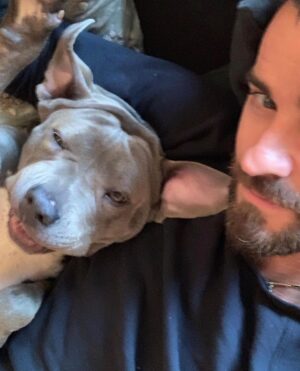 Justin Theroux Instagram - Celebrating Kuma’s Gotcha Day! June 8, 2018, 3 years ago today. 🎂 I know you can’t read Kuma, but thank you for being so open, making me laugh, sleeping in later than me, going everywhere by my side, reminding me to stay in the present, to let things roll off me, to have gratitude and joy for everything, even just waking up. Reminding me to be playful. For showing patience. For not judging anyone, (except skateboards that you judge harshly). For showing kindness first, to literally everyone you meet. For being an exceptional (but not uncommon) Pitbull ambassador. For helping save other Pittbulls like yourself by letting me tell people your story… For being loyal.  For being my gray shadow… And above all, for guarding the bathroom door literally every time i take a piss like my life depended on it. 

And THANK YOU to all the hands that cared for Kuma before I got there.  And an extra special thanks to ALL who work in animal rescue (usually very quietly) who make Kuma’s story possible for thousands of other animals every day. You are my heroes. 
I’ll say it again… #adoptdontshop 
❤️ 🙏 
… you won’t regret it.