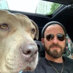 Justin Theroux Instagram – Celebrating Kuma’s Gotcha Day! June 8, 2018, 3 years ago today. 🎂 I know you can’t read Kuma, but thank you for being so open, making me laugh, sleeping in later than me, going everywhere by my side, reminding me to stay in the present, to let things roll off me, to have gratitude and joy for everything, even just waking up. Reminding me to be playful. For showing patience. For not judging anyone, (except skateboards that you judge harshly). For showing kindness first, to literally everyone you meet. For being an exceptional (but not uncommon) Pitbull ambassador. For helping save other Pittbulls like yourself by letting me tell people your story… For being loyal.  For being my gray shadow… And above all, for guarding the bathroom door literally every time i take a piss like my life depended on it. 

And THANK YOU to all the hands that cared for Kuma before I got there.  And an extra special thanks to ALL who work in animal rescue (usually very quietly) who make Kuma’s story possible for thousands of other animals every day. You are my heroes. 
I’ll say it again… #adoptdontshop 
❤️ 🙏 
… you won’t regret it.