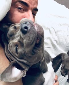 Justin Theroux Instagram - Celebrating Kuma’s Gotcha Day! June 8, 2018, 3 years ago today. 🎂 I know you can’t read Kuma, but thank you for being so open, making me laugh, sleeping in later than me, going everywhere by my side, reminding me to stay in the present, to let things roll off me, to have gratitude and joy for everything, even just waking up. Reminding me to be playful. For showing patience. For not judging anyone, (except skateboards that you judge harshly). For showing kindness first, to literally everyone you meet. For being an exceptional (but not uncommon) Pitbull ambassador. For helping save other Pittbulls like yourself by letting me tell people your story… For being loyal. For being my gray shadow… And above all, for guarding the bathroom door literally every time i take a piss like my life depended on it. And THANK YOU to all the hands that cared for Kuma before I got there. And an extra special thanks to ALL who work in animal rescue (usually very quietly) who make Kuma’s story possible for thousands of other animals every day. You are my heroes. I’ll say it again… #adoptdontshop ❤️ 🙏 … you won’t regret it.