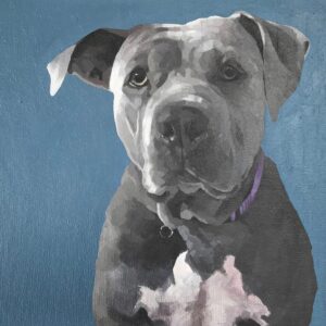 Justin Theroux Instagram - Kuma taught herself to swim. 😭 True story. In stories rn.
#myhero 
#adoptdontshop 
#pittbull 🖼 by @artkm1