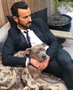 Justin Theroux Instagram - Celebrating Kuma’s Gotcha Day! June 8, 2018, 3 years ago today. 🎂 I know you can’t read Kuma, but thank you for being so open, making me laugh, sleeping in later than me, going everywhere by my side, reminding me to stay in the present, to let things roll off me, to have gratitude and joy for everything, even just waking up. Reminding me to be playful. For showing patience. For not judging anyone, (except skateboards that you judge harshly). For showing kindness first, to literally everyone you meet. For being an exceptional (but not uncommon) Pitbull ambassador. For helping save other Pittbulls like yourself by letting me tell people your story… For being loyal. For being my gray shadow… And above all, for guarding the bathroom door literally every time i take a piss like my life depended on it. And THANK YOU to all the hands that cared for Kuma before I got there. And an extra special thanks to ALL who work in animal rescue (usually very quietly) who make Kuma’s story possible for thousands of other animals every day. You are my heroes. I’ll say it again… #adoptdontshop ❤️ 🙏 … you won’t regret it.