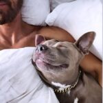 Justin Theroux Instagram - Woot! A wrap on 2023… Although by no means an exhaustive recap. Years never fail to impress on me how strange and wonderful it can all be ❤️ Looking forward to ‘24. And as ever… #adoptdontshop