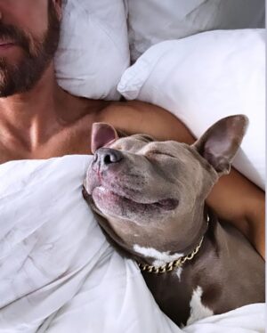 Justin Theroux Instagram - Woot! A wrap on 2023… Although by no means an exhaustive recap. Years never fail to impress on me how strange and wonderful it can all be ❤️
Looking forward to ‘24.  And as ever… 
#adoptdontshop