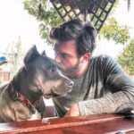 Kıvanç Tatlıtuğ Instagram - @maxveali can dostumu eğiten sihirli bir adam. Teşekkürler kardeşim.