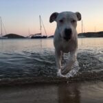 Kaan Urgancıoğlu Instagram -