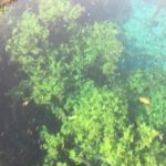 Kaan Urgancıoğlu Instagram -