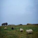 Kacey Musgraves Instagram - friends were made 🌾 Reykjavík, Iceland