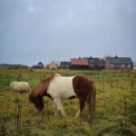 Kacey Musgraves Instagram - friends were made 🌾 Reykjavík, Iceland