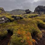 Kacey Musgraves Instagram - :: earth magic :: Reykjavík, Iceland