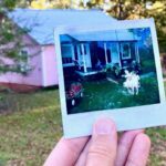 Kacey Musgraves Instagram – in the 𝒽𝑒𝒶𝓇𝓉 of the woods Home
