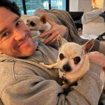 Kaley Cuoco Instagram - 💔’A dog is the only thing on earth, that loves you more than he loves himself’ My sweetest Dump Truck, saying goodbye to you has deeply pierced my soul. You were with me during some of the hardest moments I’ve had in my life. You brought endless joy to everyone that met you, and kissed my nose when I needed it most. You were as special as it gets and I’m so grateful we found each-other. Please tell Norman I miss him every day and will cherish you both forever 🌈