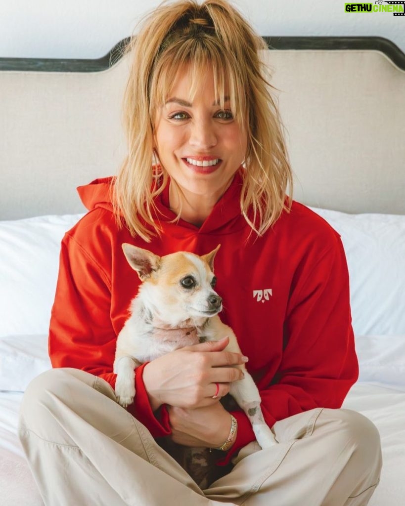 Kaley Cuoco Instagram - Oh Norman, this one’s for you. 🐶 ♥️ Our first product drop is now LIVE at @ohnorman. Each drop is eco-friendly and ethically-manufactured, but also limited edition so get it while it’s hot. My favorite part? A portion of every sale goes directly to rescuing dogs just like Norman.  Personally I’m obsessed with what we’ve created and I've ordered everything in multiples, lol.👀 Can’t wait to hear what you and your dog think of our new company. Thank you from the bottom of my heart for all the support!! 🐾