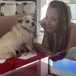 Kaley Cuoco Instagram - 🥹There are no words to describe our dearest little Kingy. He was the first dog @tommypelphrey and I rescued together and honestly the most special. I saw him online shaking in a shelter in Atlanta while I was away in Germany , and asked the shelter to hold him because we just had to have him. A month later we were in Atlanta for Tom’s work, and we spent an entire day driving hours to go pick up King. It was ♥️ ! We did not have him nearly long enough. What started as a 6 pound , skinny , wouldn’t drink water , fur less, scared dog, turned into a chubby , hilarious , side plopping, eye kissing part of our family. The hardest part about adopting seniors with medical issues, is we truly don’t know how long we have. All I know is Kingy gave us the most joy over the last year in a half and we could not love him more. 🌈 to everyone that helped with Kingy’s journey along the way, thank you. I urge you to rescue your next best friend ❤️‍🩹 He has left his paw print on our family’s hearts forever 🐾