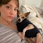 Kaley Cuoco Instagram - 🥹There are no words to describe our dearest little Kingy. He was the first dog @tommypelphrey and I rescued together and honestly the most special. I saw him online shaking in a shelter in Atlanta while I was away in Germany , and asked the shelter to hold him because we just had to have him. A month later we were in Atlanta for Tom’s work, and we spent an entire day driving hours to go pick up King. It was ♥️ ! We did not have him nearly long enough. What started as a 6 pound , skinny , wouldn’t drink water , fur less, scared dog, turned into a chubby , hilarious , side plopping, eye kissing part of our family. The hardest part about adopting seniors with medical issues, is we truly don’t know how long we have. All I know is Kingy gave us the most joy over the last year in a half and we could not love him more. 🌈 to everyone that helped with Kingy’s journey along the way, thank you. I urge you to rescue your next best friend ❤️‍🩹 He has left his paw print on our family’s hearts forever 🐾