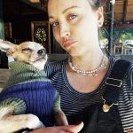 Kaley Cuoco Instagram - 🥹There are no words to describe our dearest little Kingy. He was the first dog @tommypelphrey and I rescued together and honestly the most special. I saw him online shaking in a shelter in Atlanta while I was away in Germany , and asked the shelter to hold him because we just had to have him. A month later we were in Atlanta for Tom’s work, and we spent an entire day driving hours to go pick up King. It was ♥️ ! We did not have him nearly long enough. What started as a 6 pound , skinny , wouldn’t drink water , fur less, scared dog, turned into a chubby , hilarious , side plopping, eye kissing part of our family. The hardest part about adopting seniors with medical issues, is we truly don’t know how long we have. All I know is Kingy gave us the most joy over the last year in a half and we could not love him more. 🌈 to everyone that helped with Kingy’s journey along the way, thank you. I urge you to rescue your next best friend ❤️‍🩹 He has left his paw print on our family’s hearts forever 🐾