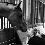 Kaley Cuoco Instagram - 💫 Sometimes horses come into your life and truly make you see the world in a new and beautiful way. Si Bella , you were the horse of a lifetime . Still to this day I cannot believe you were mine. You taught me how to fly and put me in dream arenas I thought could only ever be a dream. You had the heart of a warrior truly till your last breath. You deserve all the love, gratitude , and respect my heart can muster. Thank you for giving me your all ,since the day we met. Thank you to the Prudent’s for trusting us with her. She was special to so many and will remain to be. Thank you @traceywade10 & @memomoreno2643 for loving her like I did 💫 Thank you to everyone that was part of her journey …