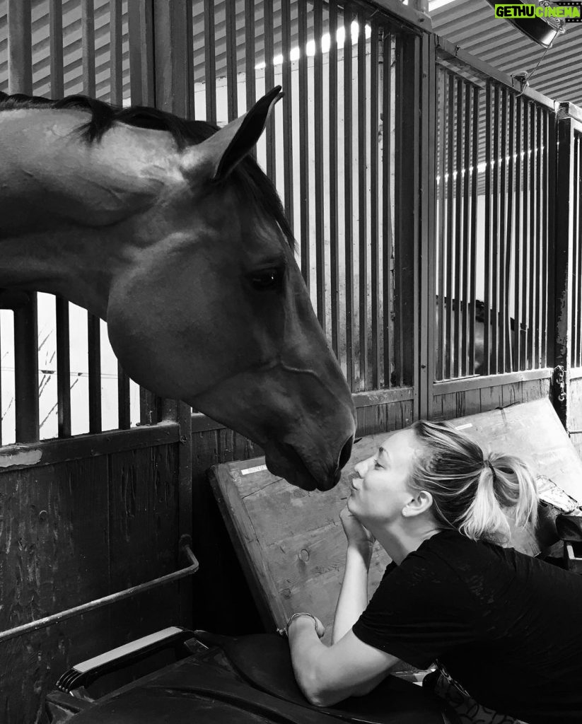 Kaley Cuoco Instagram - 💫 Sometimes horses come into your life and truly make you see the world in a new and beautiful way. Si Bella , you were the horse of a lifetime . Still to this day I cannot believe you were mine. You taught me how to fly and put me in dream arenas I thought could only ever be a dream. You had the heart of a warrior truly till your last breath. You deserve all the love, gratitude , and respect my heart can muster. Thank you for giving me your all ,since the day we met. Thank you to the Prudent’s for trusting us with her. She was special to so many and will remain to be. Thank you @traceywade10 & @memomoreno2643 for loving her like I did 💫 Thank you to everyone that was part of her journey …