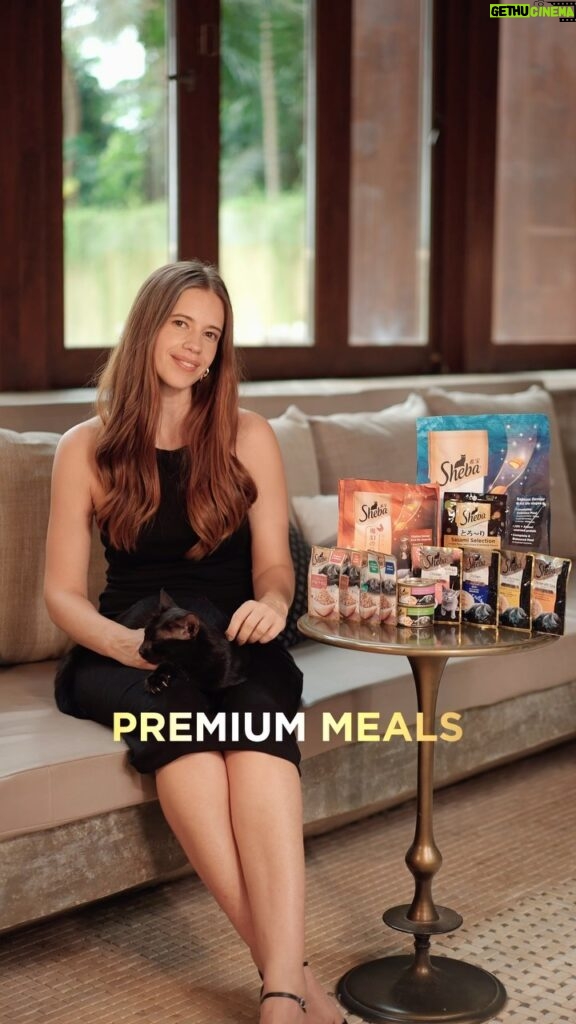 Kalki Koechlin Instagram - I choose premium meals for my love. 😻🐾 Every bite of Sheba cat food is a delight, and Ninja couldn’t agree more. It’s not just a meal; it’s a culinary love affair! 💕🍽 #ShebaCatFood #Premiummealsformylove