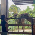 Kaori Oinuma Instagram – good food & good company 🤝🏻 #RiseAndGo 

📍 Bale Dutung
📍 Zoocobia Fun Zoo
📍 Lala Cafe